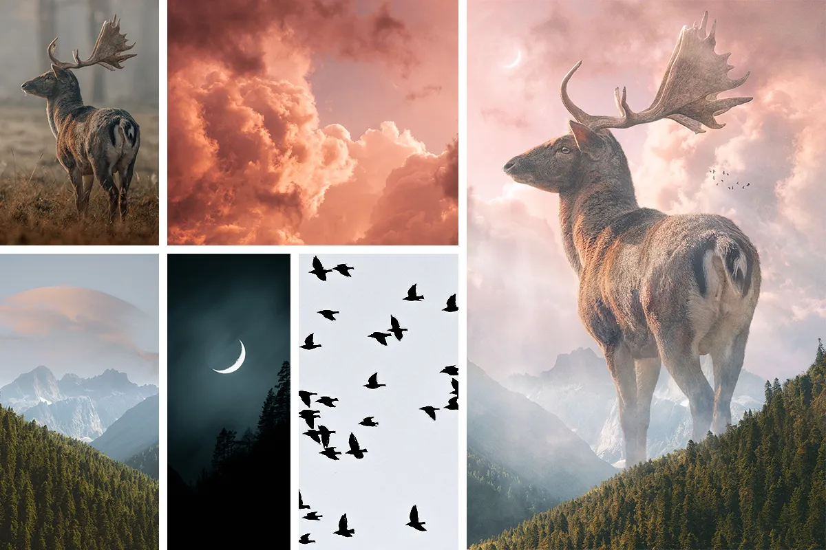 Unleashing Creativity